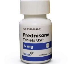 prednisone