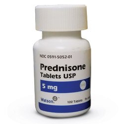 prednisone prednisone